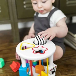 Baby Einstein - Puttekasse