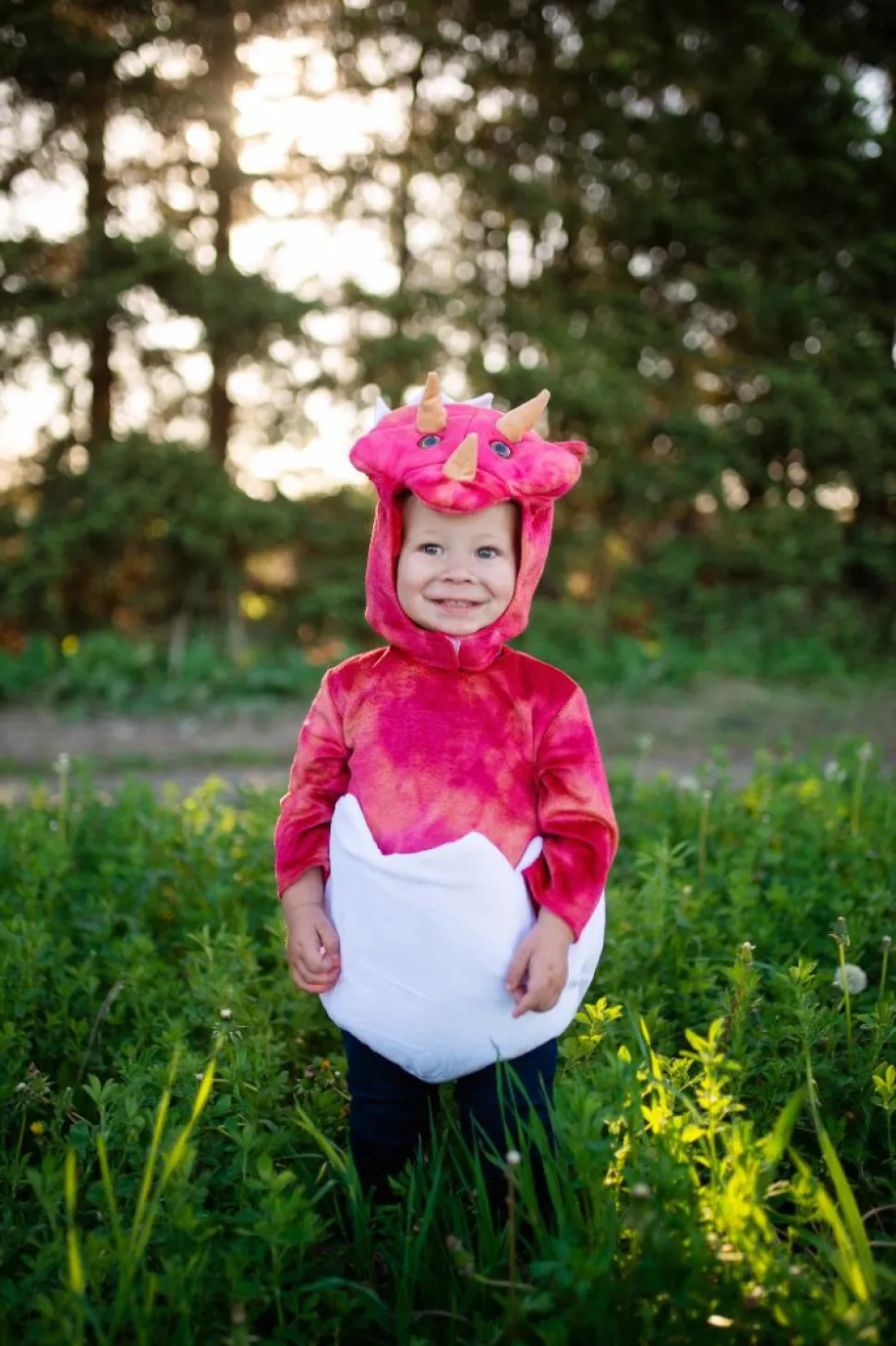 Baby triceratops, str. 1-2 år