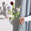 Chenilleblomster - Tulipaner, 5 stk