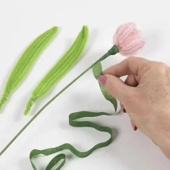 Chenilleblomster - Tulipaner, 5 stk