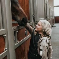 Cheval Roi kæphest - Diva (2024-model)