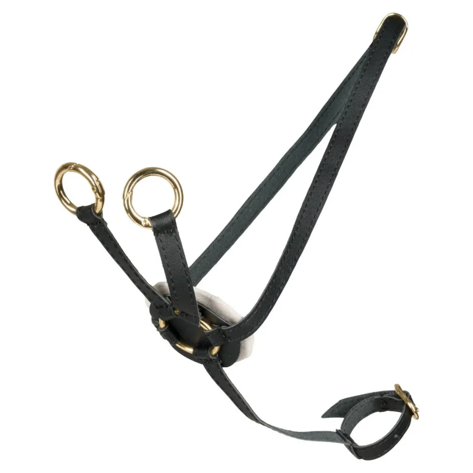 Cheval Roi tilbehør - Martingal, Sort/guld