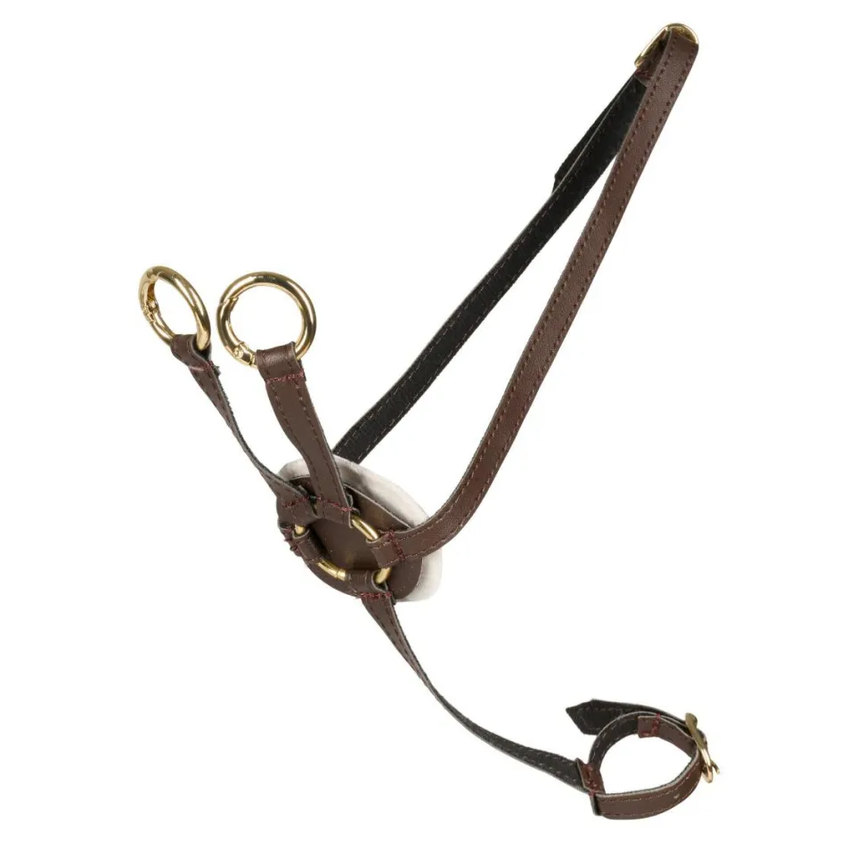 Cheval Roi tilbehør - Martingal, Brun/guld
