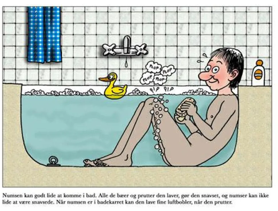 Den store numsebog