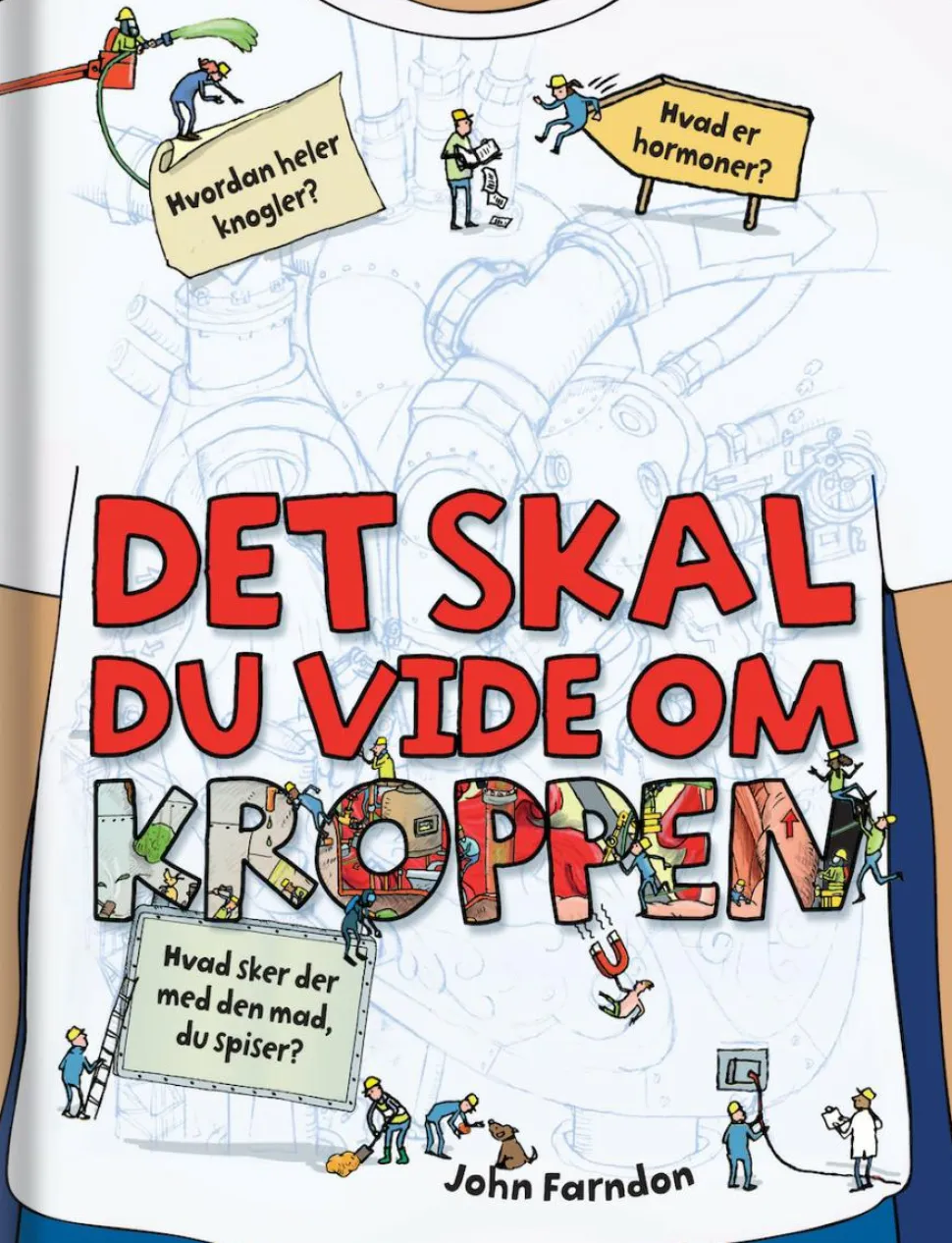 Det skal du vide om kroppen