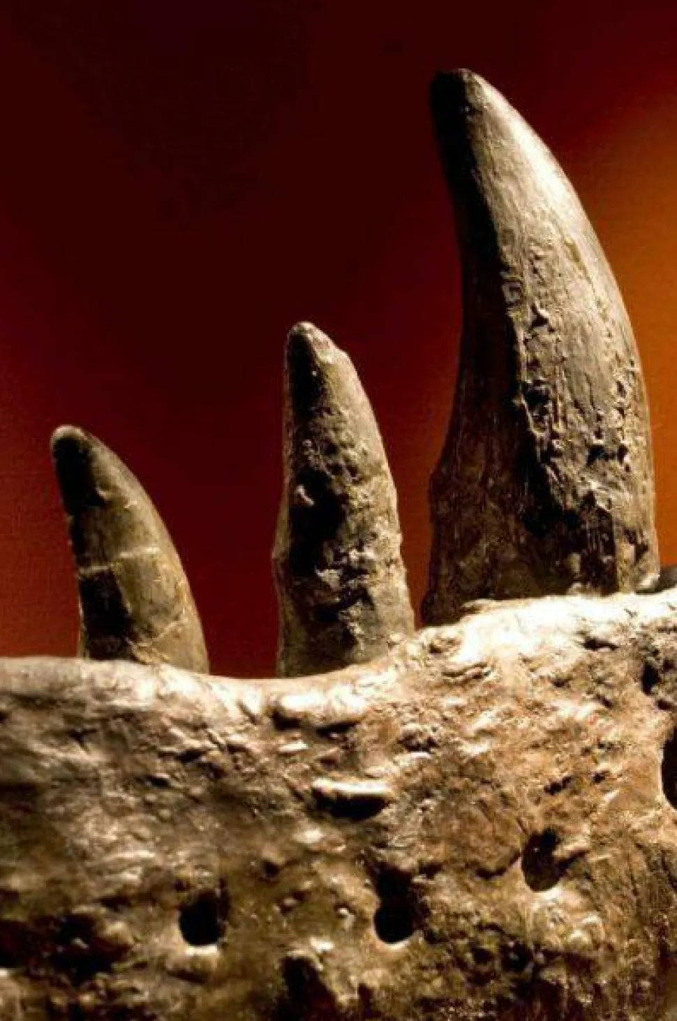 Dias med dinosaur