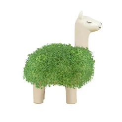 Dyrk en chia-lama