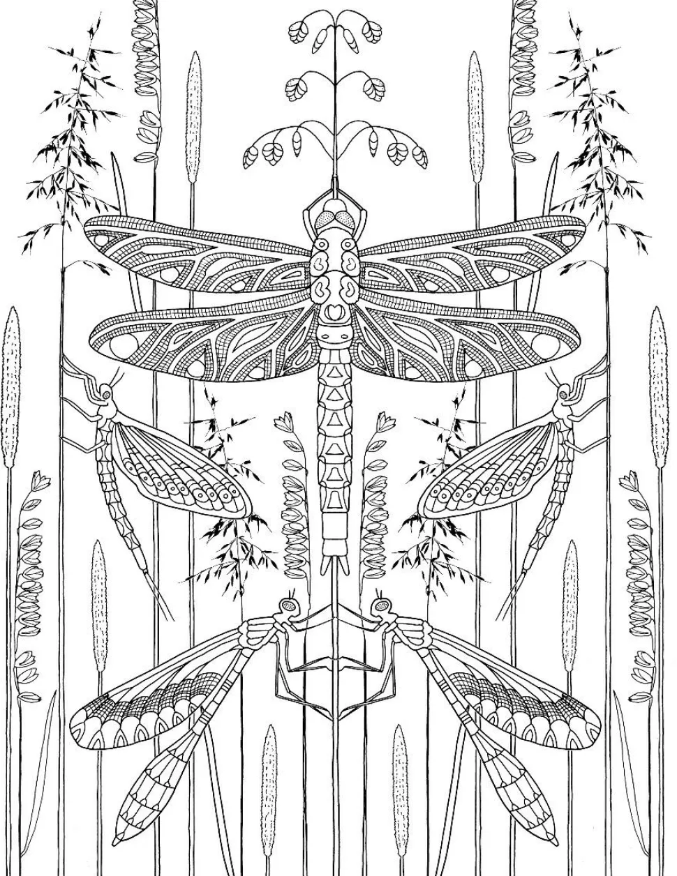 Farvelægningsbog - Insekter