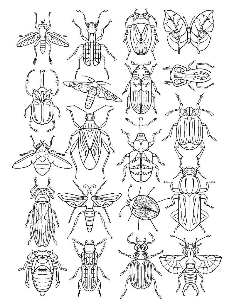 Farvelægningsbog - Insekter