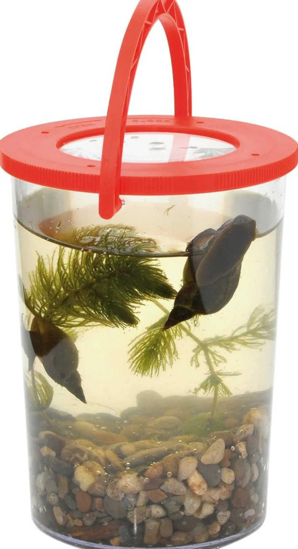 Forstørrelsesglas med håndtag, Ø 9,5 cm.