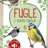 Fugle i vores natur