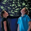 Glow - Nattehimmel, 500+ dele