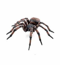 Husedderkop - L: 6,3 cm