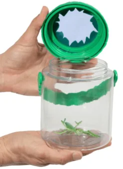 Insektglas m. net i låget - Ø10,5 cm