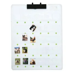 Interaktiv tavle - optag og afspil