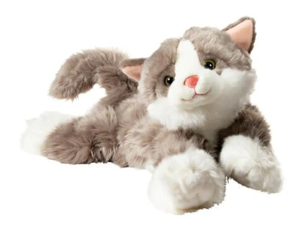 Joyk empatidukke - Kat