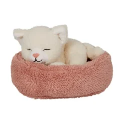 Katten Kaja