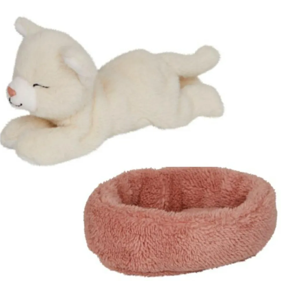 Katten Kaja