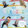 Kig på fuglene - Ornitologi for begyndere