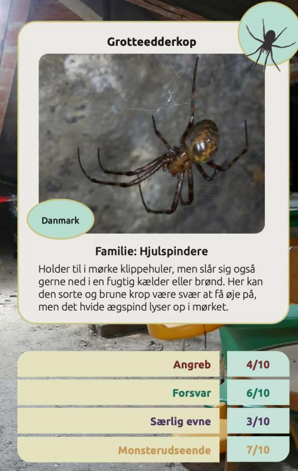 Kortspil - Edderkopper