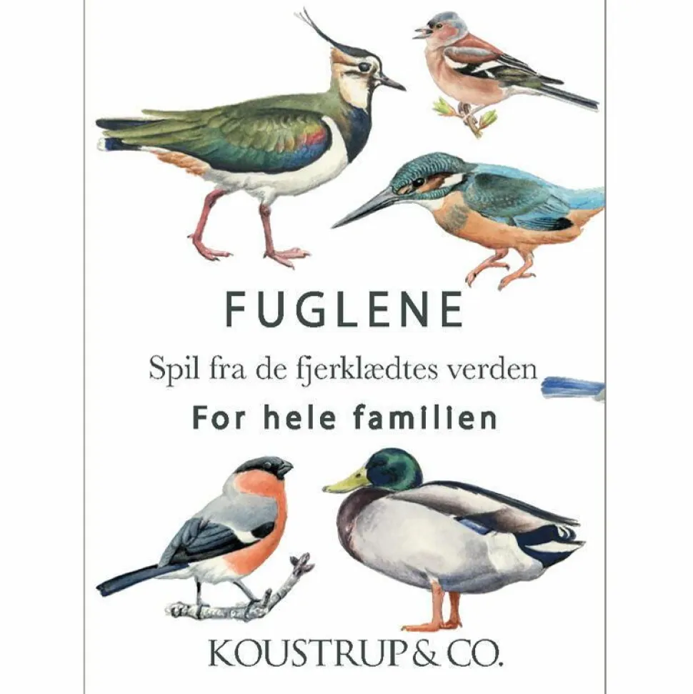 Kortspil - Fuglenes verden