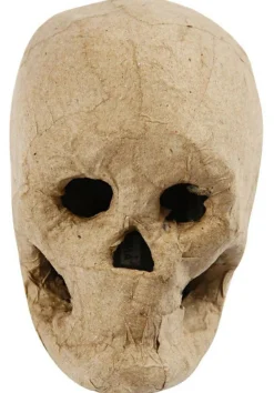 Kranium i papmaché - H: 10 cm.