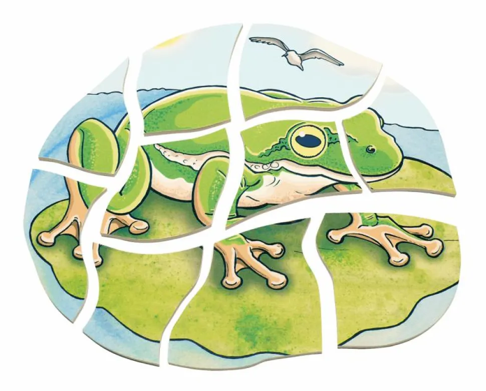 Lag puslespil - Frøens livscyklus