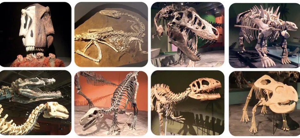 Lommelygte med dias - Sig goddag til en dinosaur