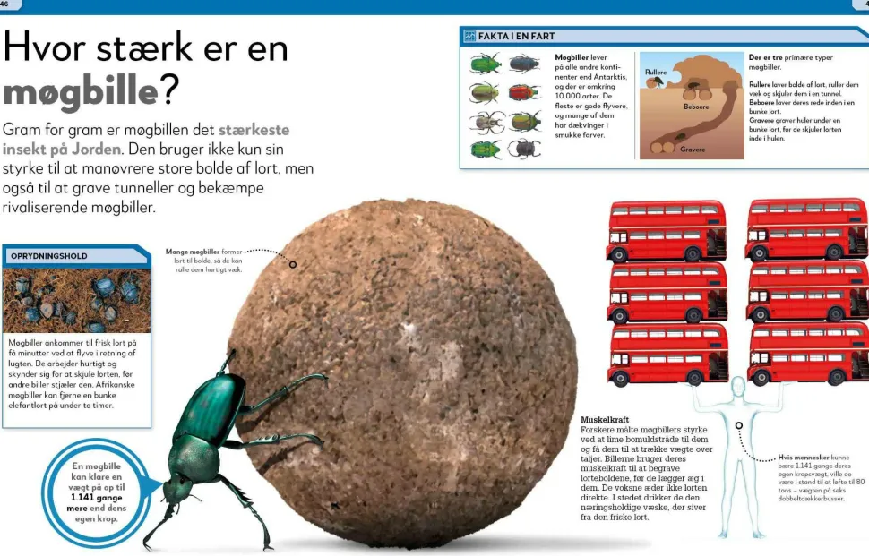 Lort! Skidesjove fakta om at lave stort