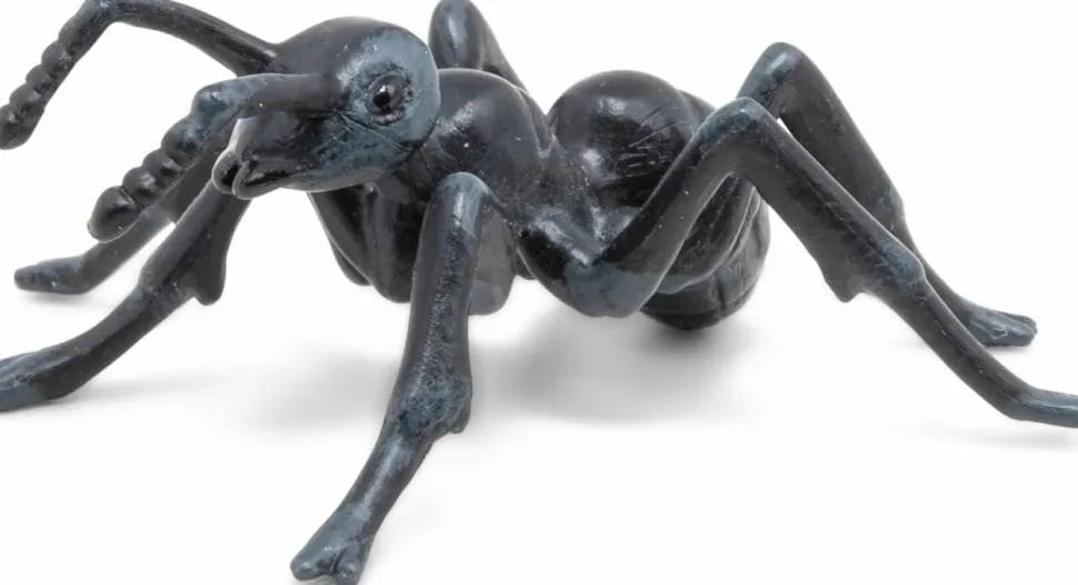 Myre - L: 5,1 cm