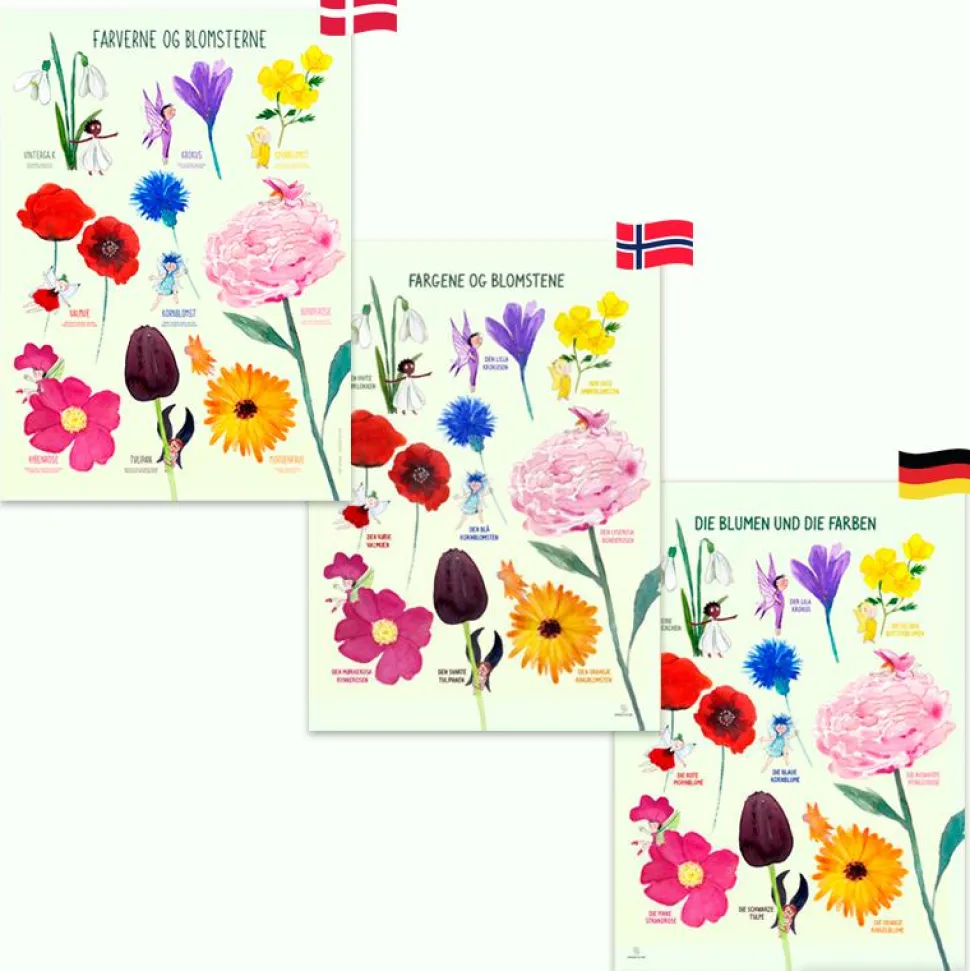 Plakat 50 x 70 cm - Farverne og blomsterne
