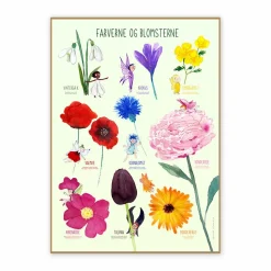 Plakat 50 x 70 cm - Farverne og blomsterne