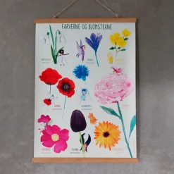 Plakat 50 x 70 cm - Farverne og blomsterne
