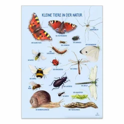 Plakat 50 x 70 cm - Smådyr omkring dig