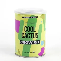 Plant selv kit - Kaktus