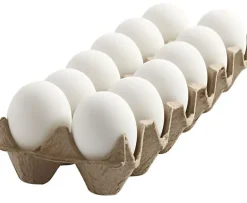 Påskeæg af plast, 12 stk - H: 6 cm