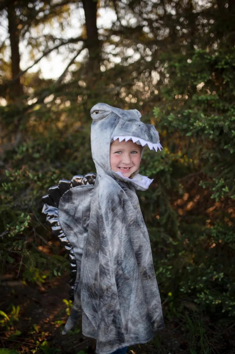 Spinosaurus, str. 4-6 år