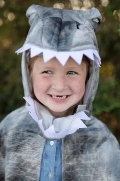 Spinosaurus, str. 4-6 år