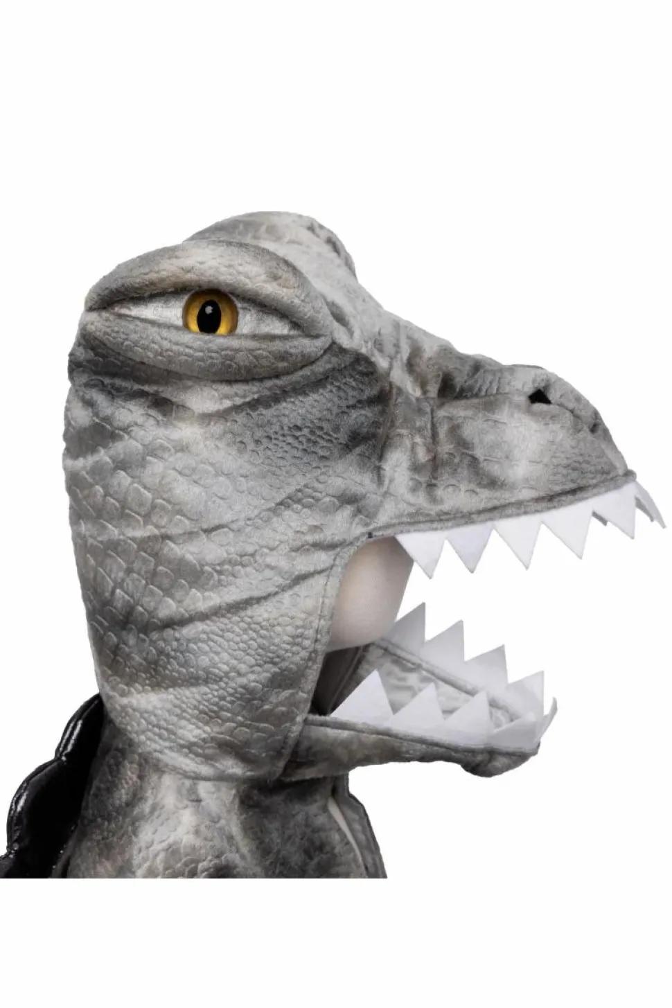 Spinosaurus, str. 4-6 år