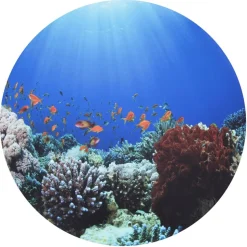 Sæt scenen Ø62,5 cm - Under havet