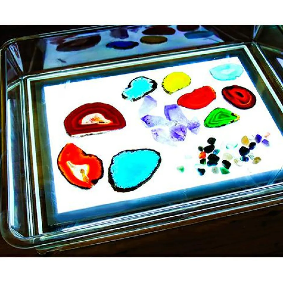 Transparent bakke med sider