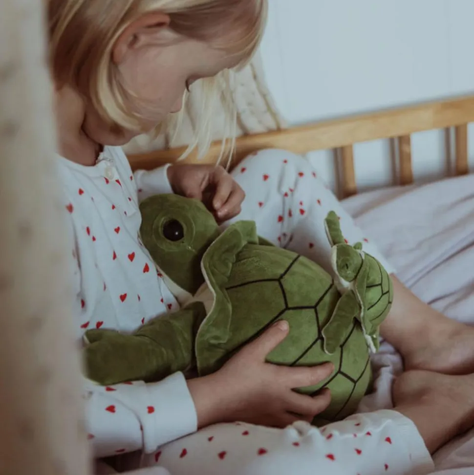 Tyngdedyr - Skildpadde 1,6 kg