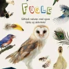 Ud i naturen - Fugle