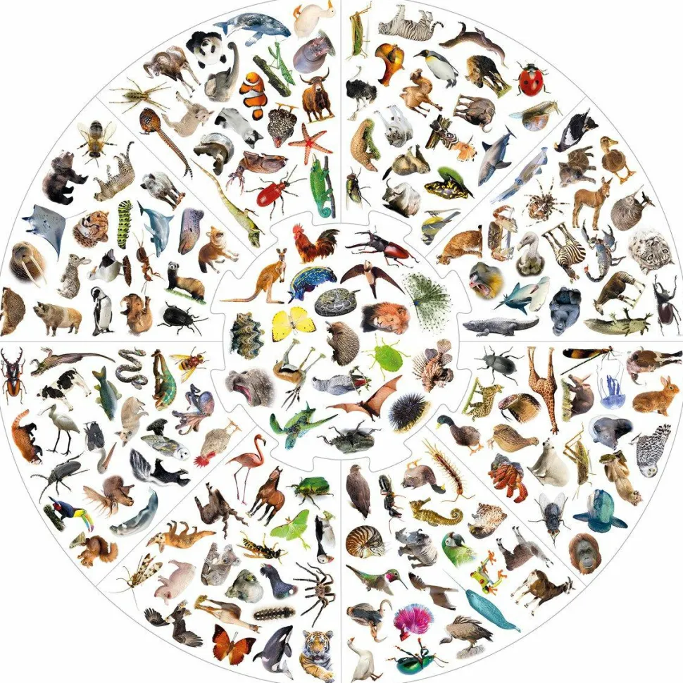 Vildkatten - Animals